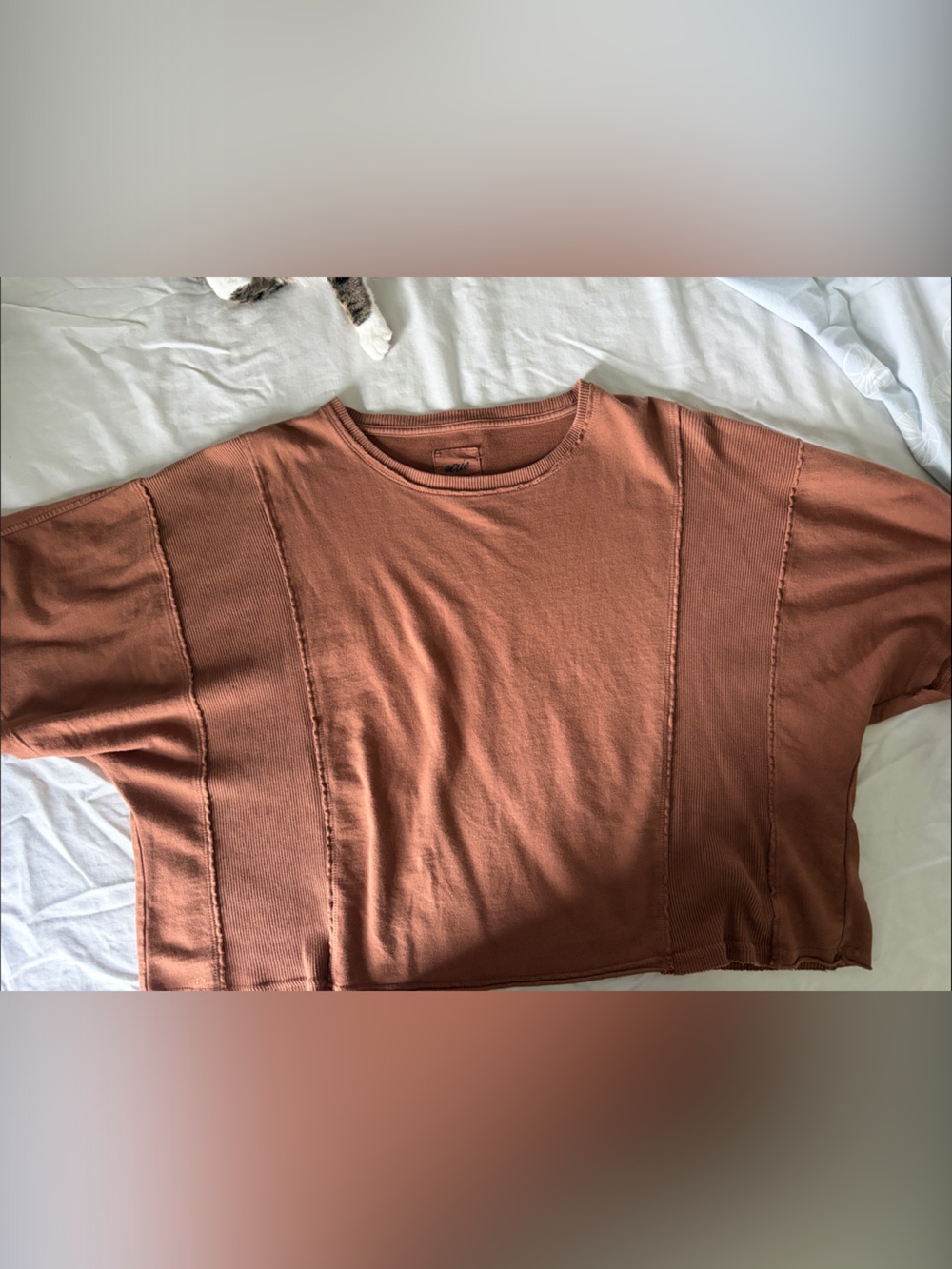 aerie Short Sleeve Boxy Tee in rusty brown